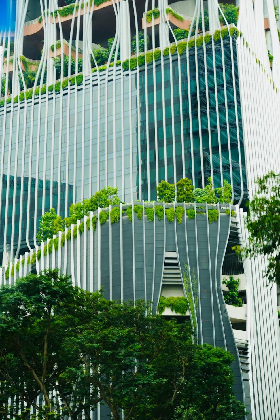 Eco Office Complex