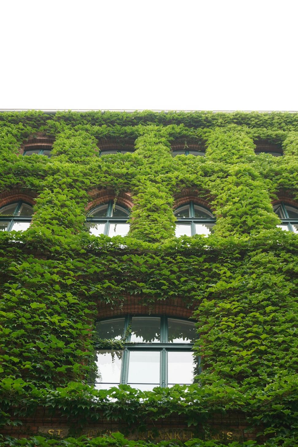 Green roof detail