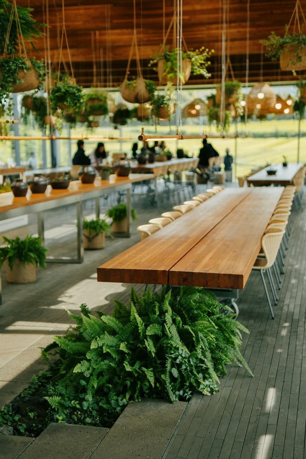 Restaurant Design